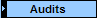  Audits 